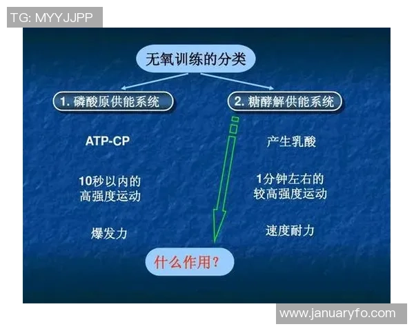 成都羽毛球队协作分析与战术配合探讨