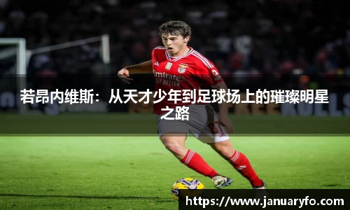 若昂内维斯：从天才少年到足球场上的璀璨明星之路